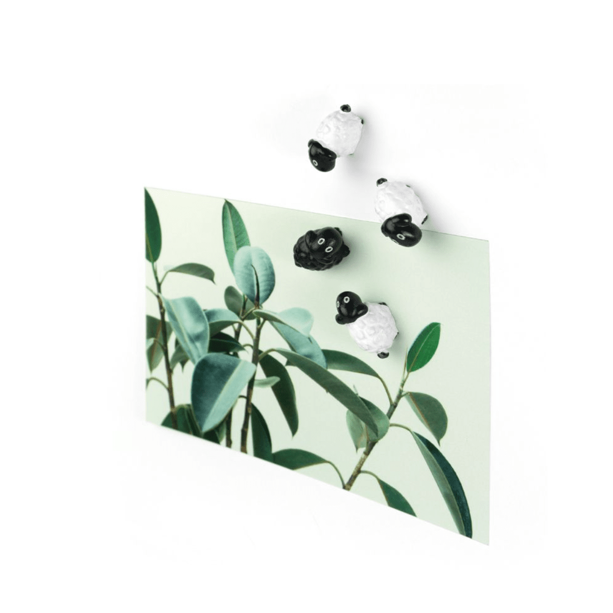 Trendform Tiermagnete 6er Set - Schafe