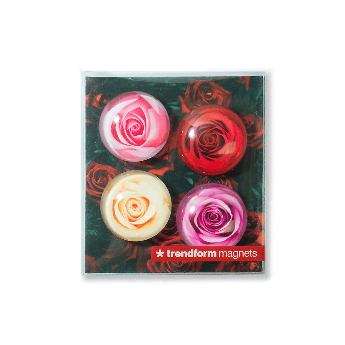 Trendform Magnet Rose - 4er Set