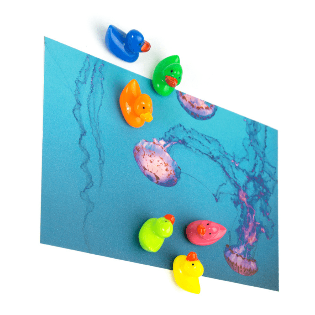 Trendform bunte Entenmagnete - 6 Stück