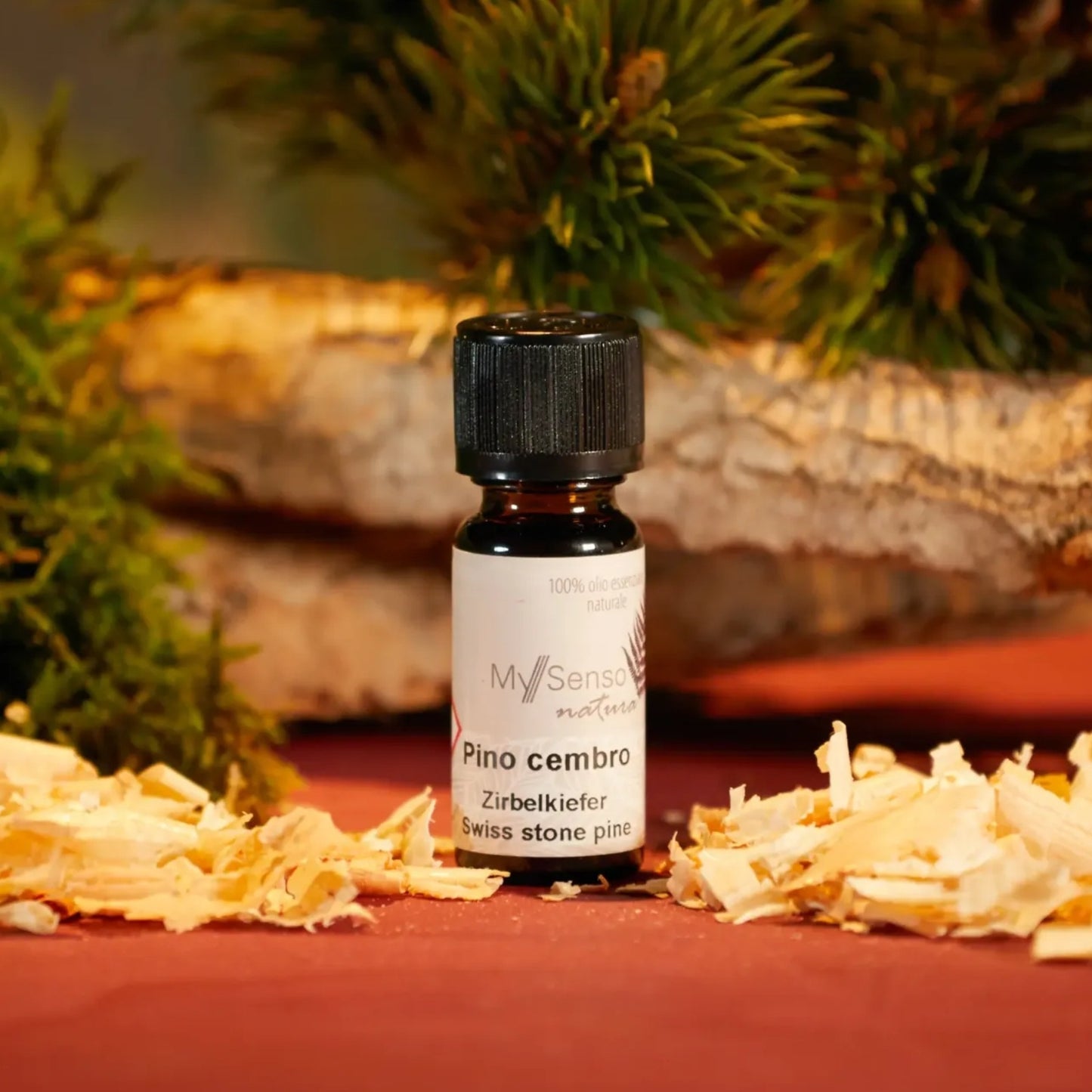 aetherisches Duftoel 10ml - Zirbelkiefer