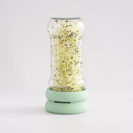 FOOD HUGGERS® Sprossen ziehen im Glas - Sprout Huggers