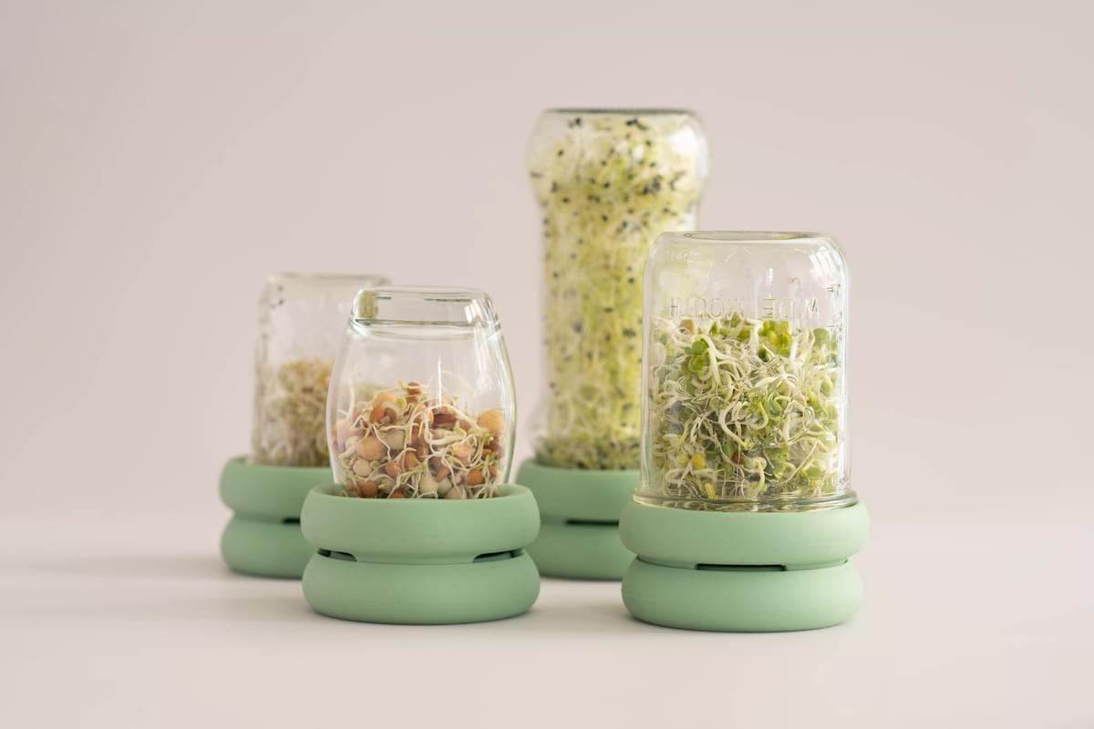 FOOD HUGGERS® Sprossen ziehen im Glas - Sprout Huggers