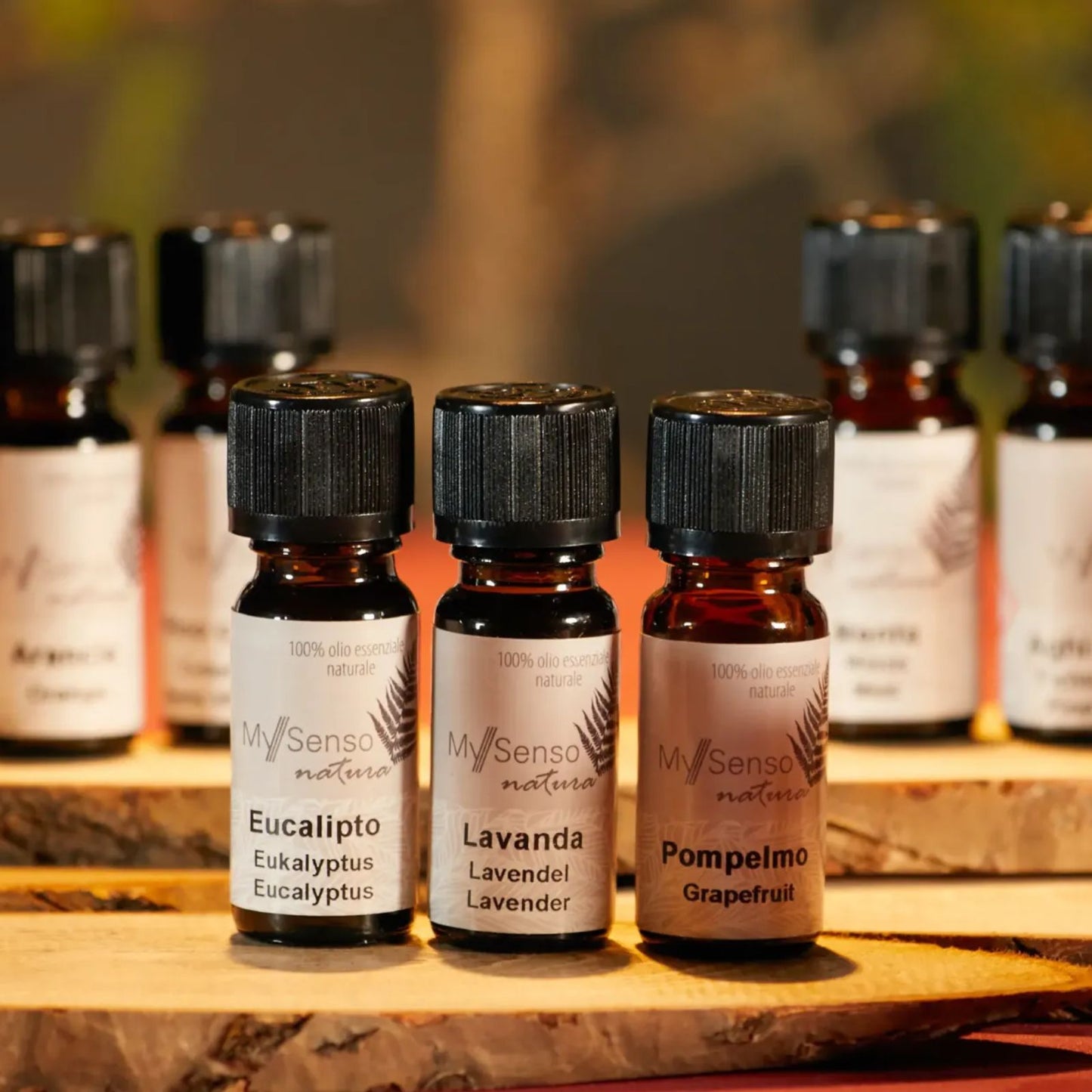 aetherisches oel 10ml - Eukalyptus