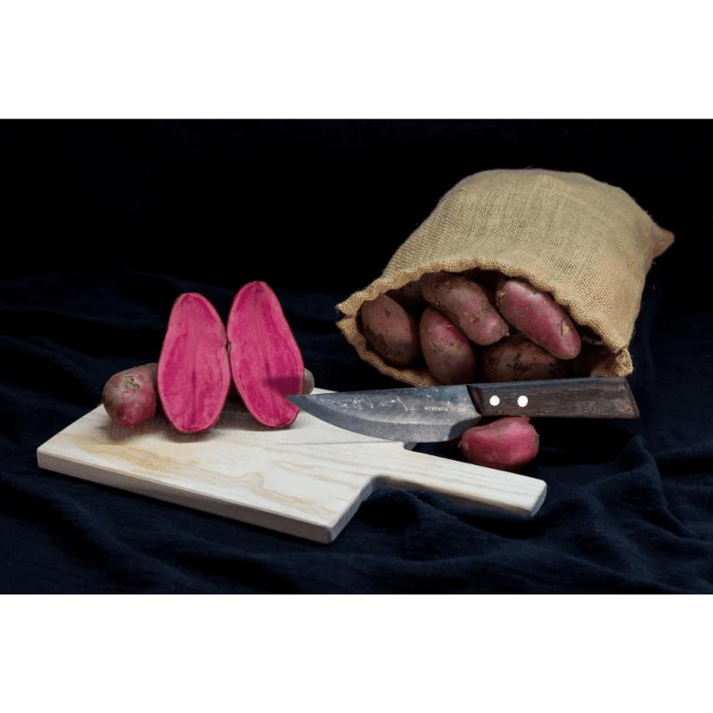 Authentic Blades - kleines Küchenmesser - VAY 12cm