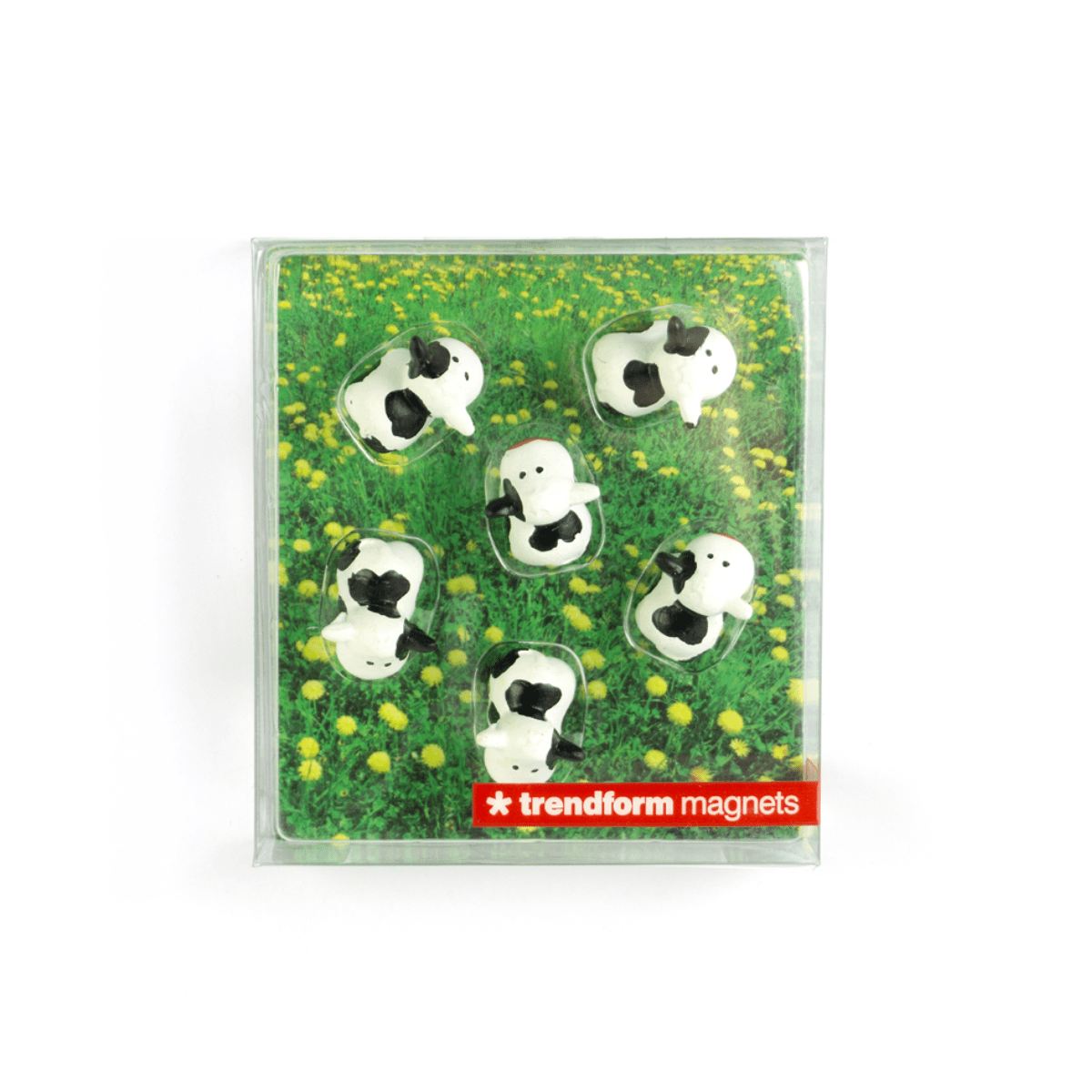 Trendform Tiermagnete 6er Set - Kühe