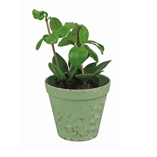 Zuperzozial kleiner Übertopf - 11cm