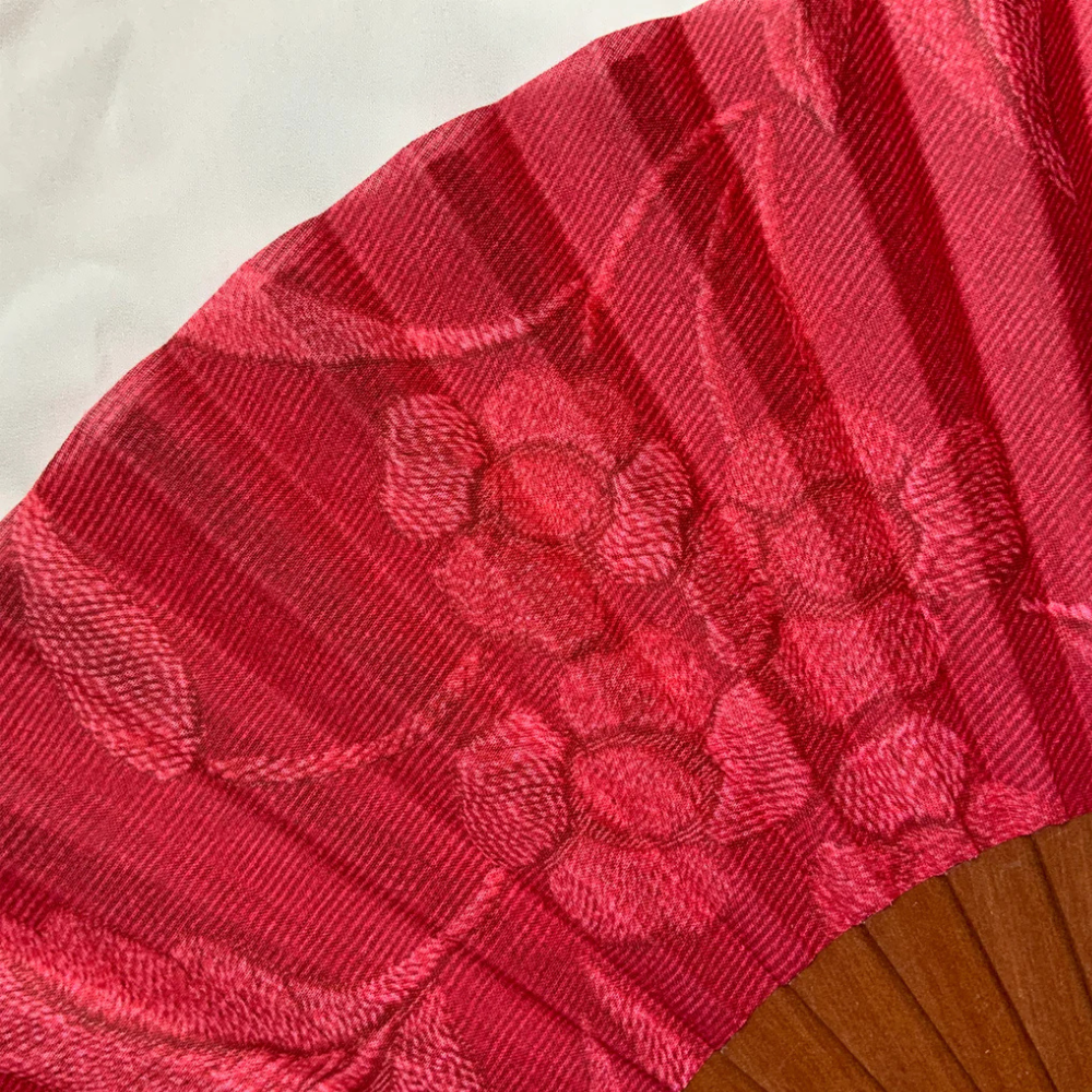 roter Fächer - Carmen