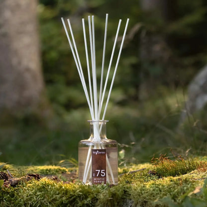 Alpine Raumduft Diffusor 200ml - Nr. 75 Mystic Forest