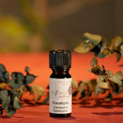 aetherisches oel 10ml - Eukalyptus