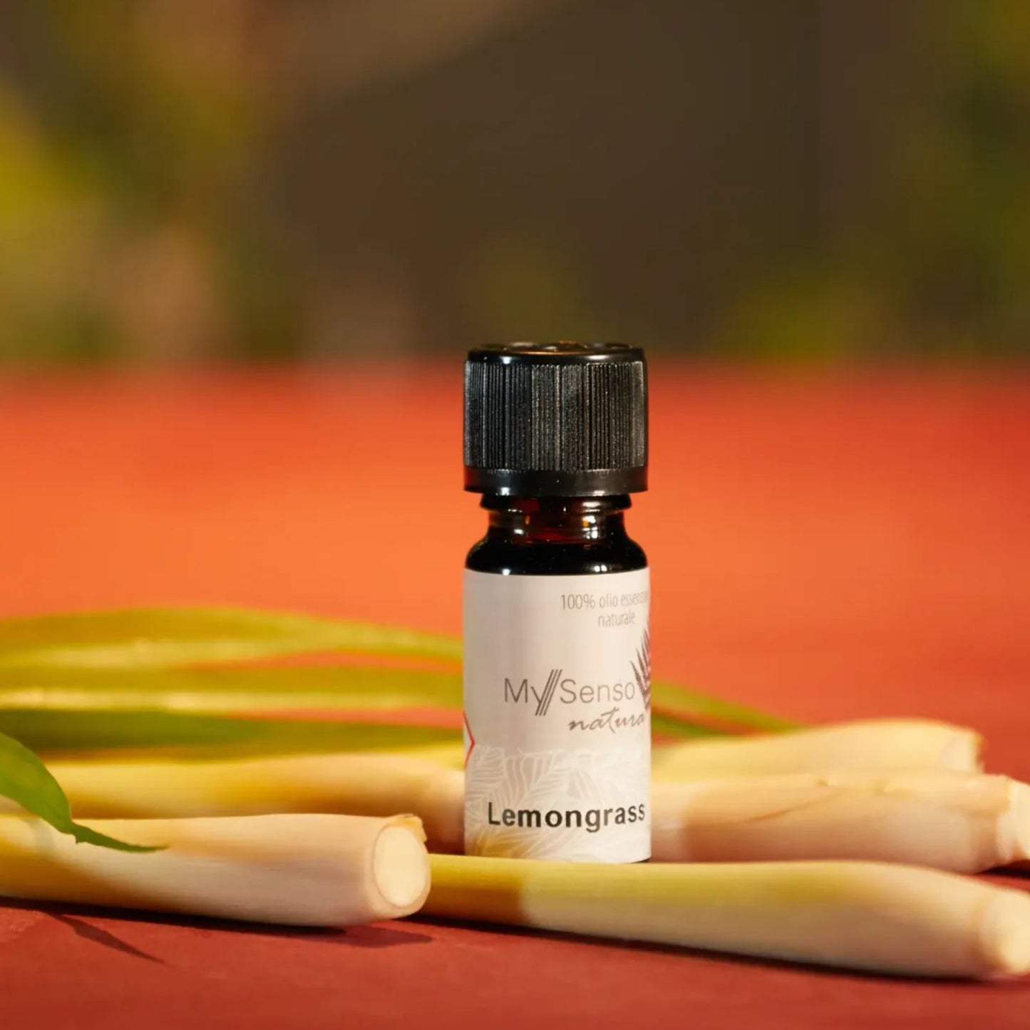 aetherisches Duftoel 10ml - Lemongrass