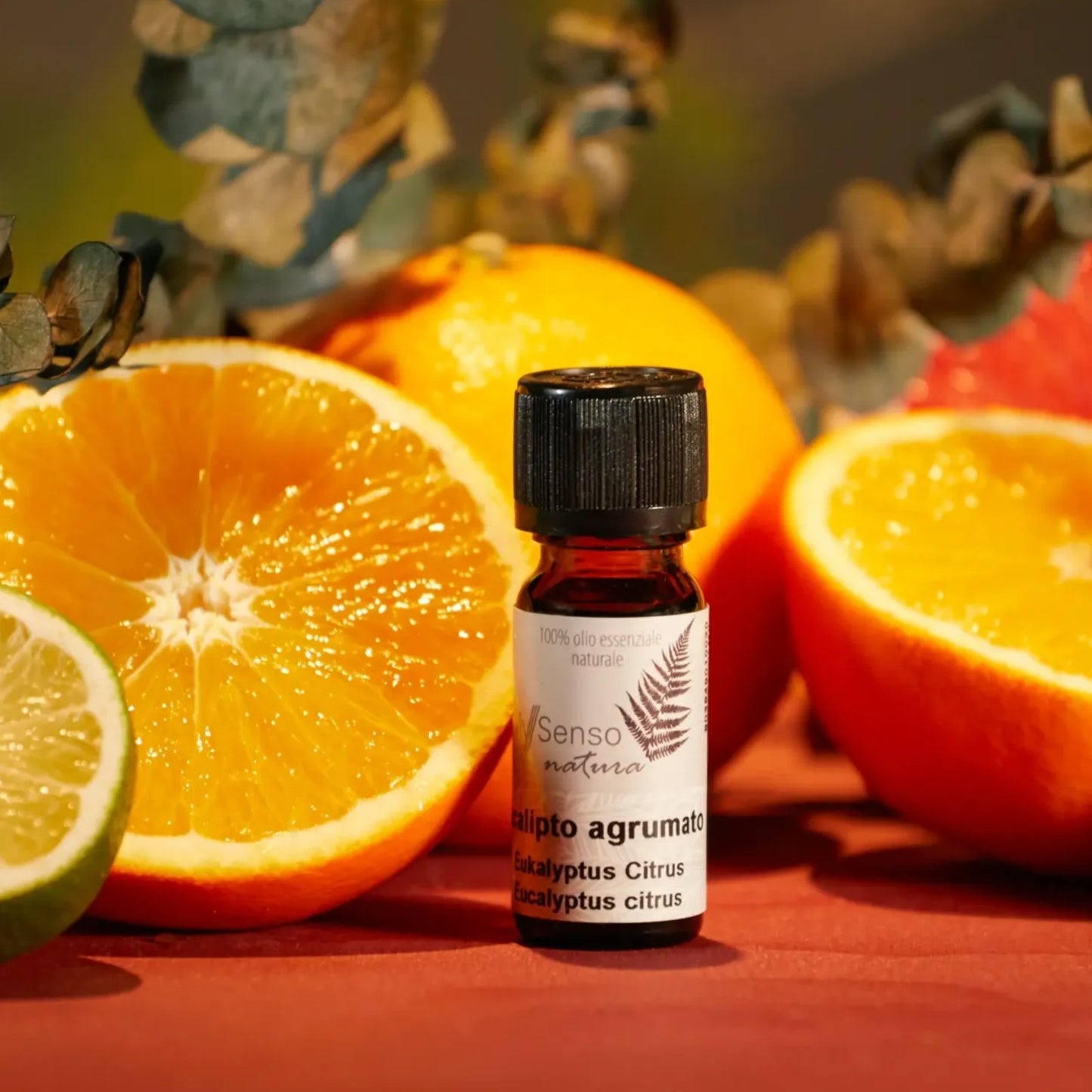 aetherisches Duftoel 10ml - Eukalyptus Citrus