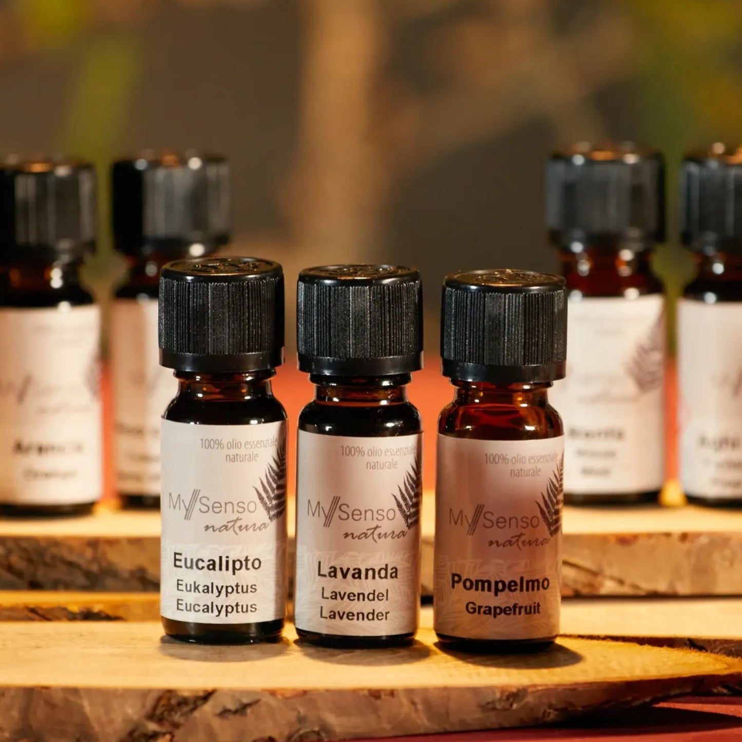 aetherisches Duftoel 10ml - Grapefruit