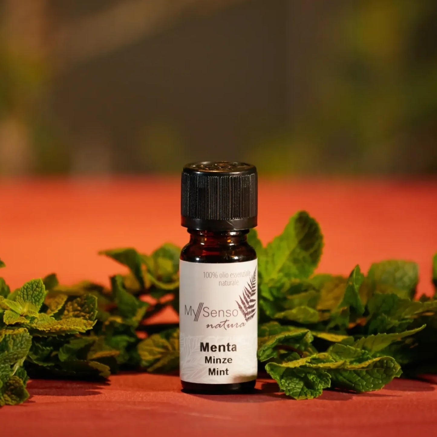 aetherisches Duftoel 10ml - Minze