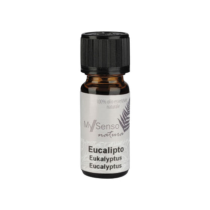 aetherisches oel 10ml - Eukalyptus