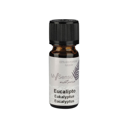 ätherisches Öl 10ml - Eukalyptus