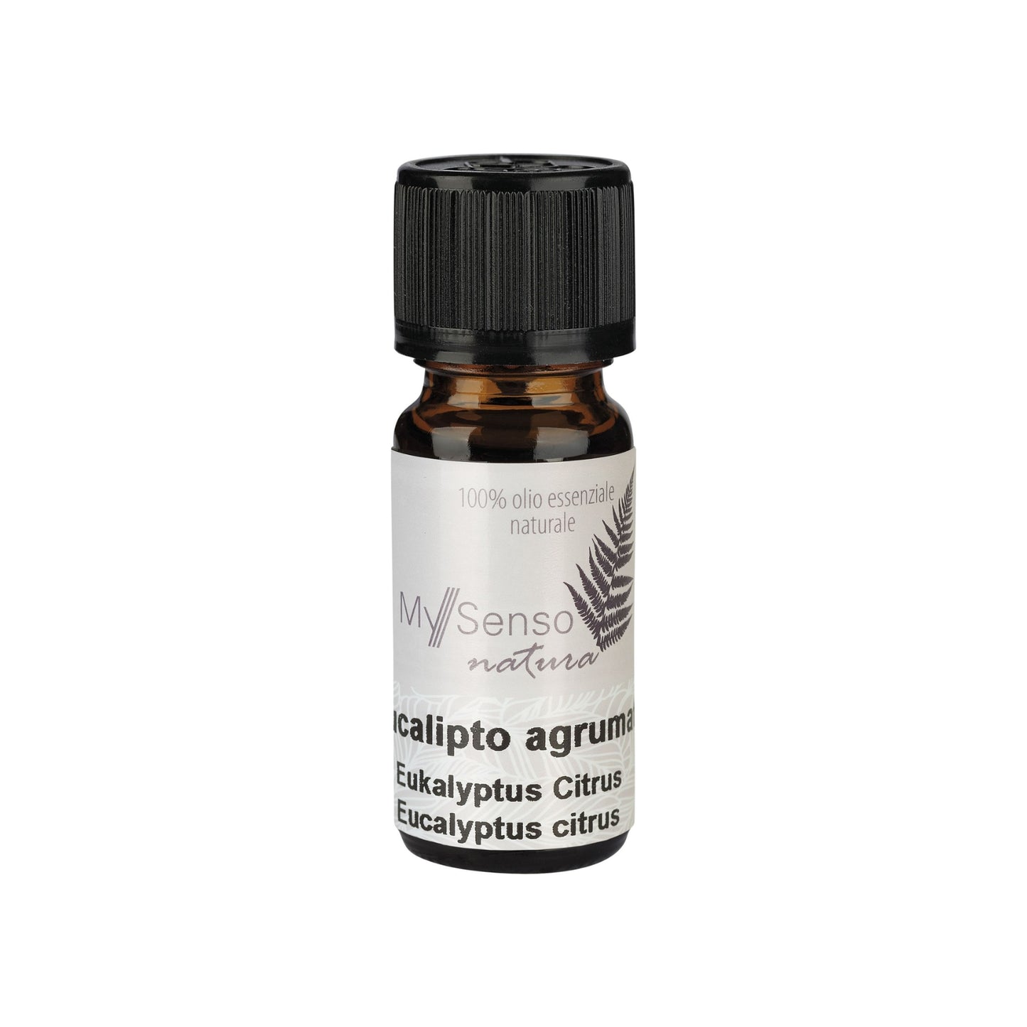 aetherisches Duftoel 10ml - Eukalyptus Citrus