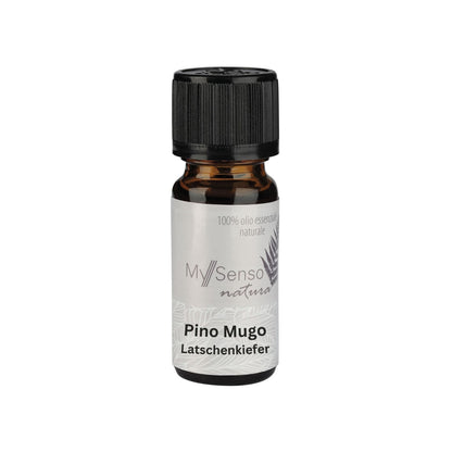 aetherisches Duftoel 10ml - Latschenkiefer